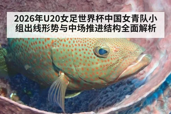 2026年U20女足世界杯中国女青队小组出线形势与中场推进结构全面解析
